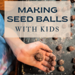 child's hand holding seed ball over tray where she is making more seed balls. With text overlay for Pinterest